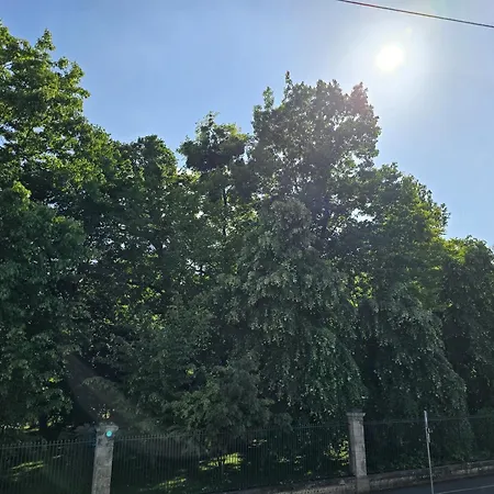 Chambre, Cuisine Et Salle De Bain Avec Balcon Sur Jardin Massey Διαμέρισμα *
