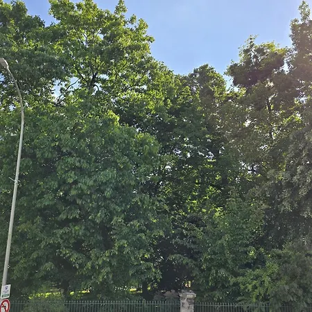 Chambre, Cuisine Et Salle De Bain Avec Balcon Sur Jardin Massey Διαμέρισμα Ταρμπ