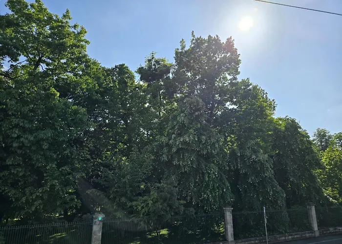 Chambre, Cuisine Et Salle De Bain Avec Balcon Sur Jardin Massey Διαμέρισμα *
