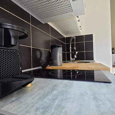 Chambre, Cuisine Et Salle De Bain Avec Balcon Sur Jardin Massey Tarbes