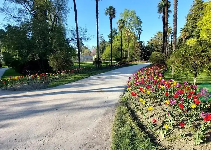 Chambre, Cuisine Et Salle De Bain Avec Balcon Sur Jardin Massey アパート タルブ