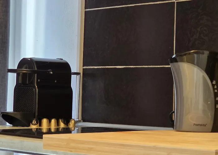 Chambre, Cuisine Et Salle De Bain Avec Balcon Sur Jardin Massey アパート タルブ