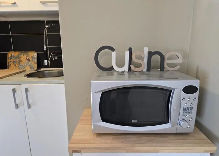 Chambre, Cuisine Et Salle De Bain Avec Balcon Sur Jardin Massey * タルブ