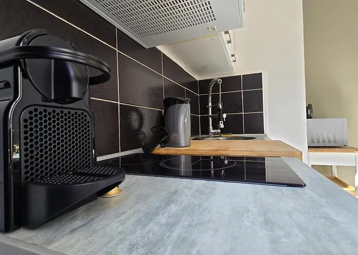 Chambre, Cuisine Et Salle De Bain Avec Balcon Sur Jardin Massey タルブ